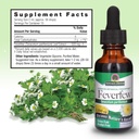 natures-answer-alcohol-free-feverfew-200-3.jpg