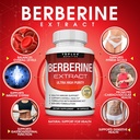 berberine-supplement-1800mg---berberine--3.jpg