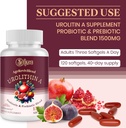 urolithin-a-supplement-1500mg-urolithin--3.jpg