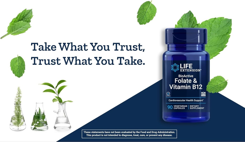 life-extension-bioactive-folate-vitamin--6.jpg
