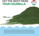 sun-chlorella-powder-green-algae-superfo-5.jpg