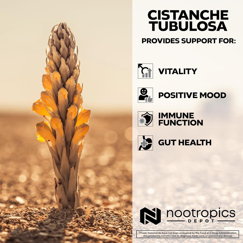 nootropics-depot-cistanche-tubulosa-tabl-4.jpg