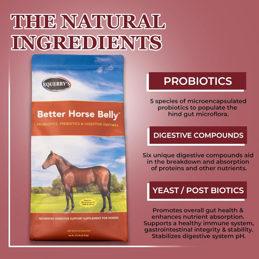 equerrys-better-horse-belly---supplement-3.jpg