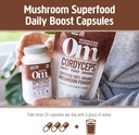 om-mushroom-superfood-cordyceps-mushroom-5.jpg