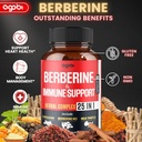 premium-berberine-supplement-with-ceylon-3.jpg