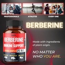 premium-berberine-supplement-with-ceylon-5.jpg
