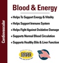 vet-classics-blood-energy-support-for-do-4.jpg