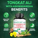 satoomi-tongkat-ali-root-extract-2001-9--5.jpg