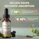 mullein-drops-for-lungs-mullein-leaf-ext-3.jpg