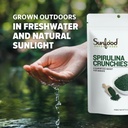 sunfood-superfoods-spirulina-crunchies---6.jpg