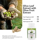 olive-leaf-extract---500mg---supplement--4.jpg