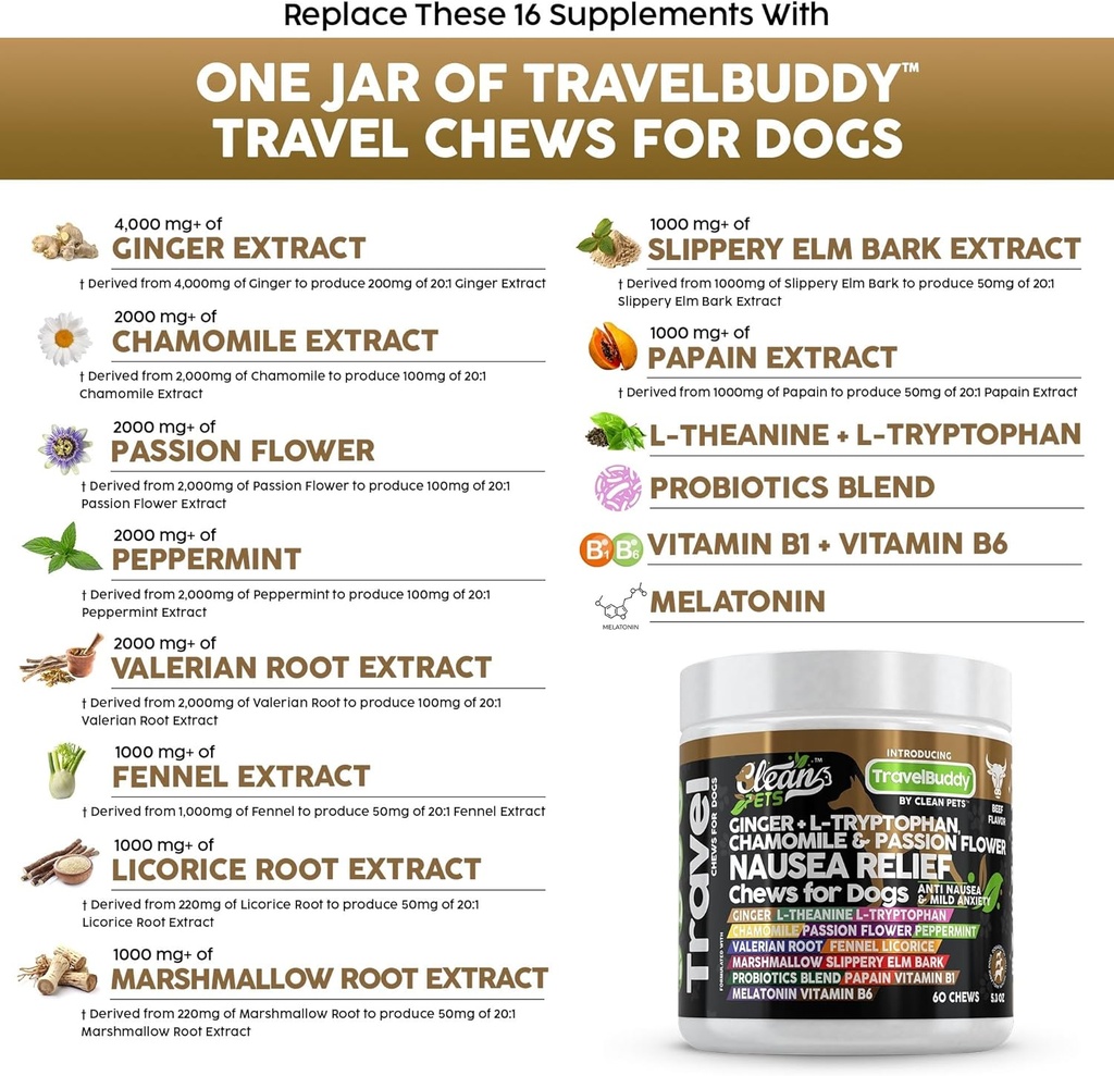 travel-chews-nausea-relief-for-dogs-ging-3.jpg