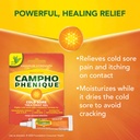 campho-phenique-cold-sore-and-fever-blis-2.jpg