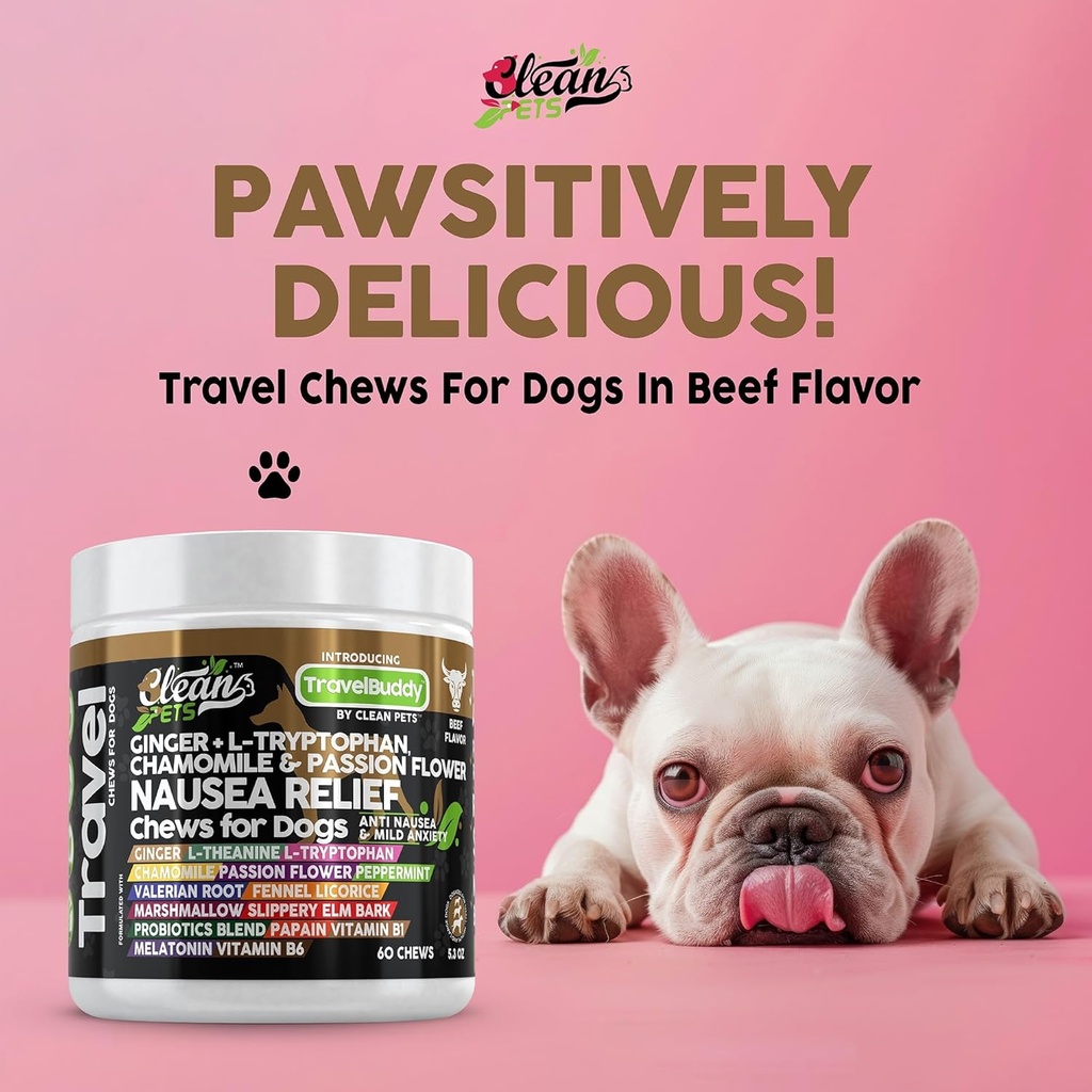 travel-chews-nausea-relief-for-dogs-ging-6.jpg