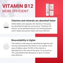 vitamin-b12-spray-500-mcg-150-servings---6.jpg