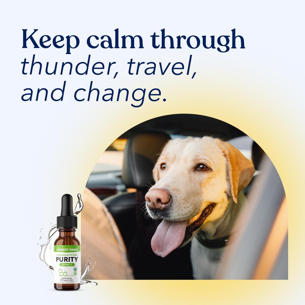 honest-paws-hemp-oil-for-dogs---natural--5.jpg