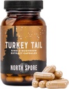 north-spore-organic-turkey-tail-extract--4.jpg