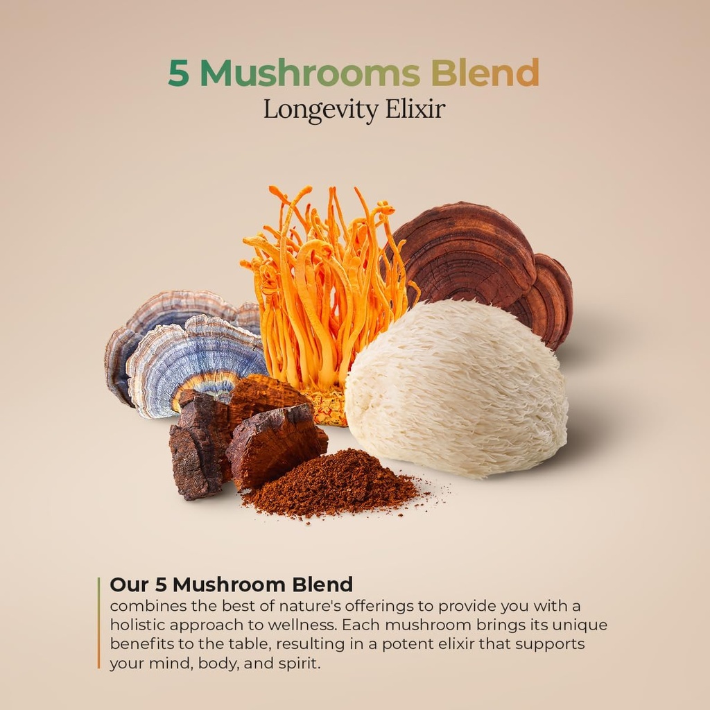 5-mushrooms-power-bland-organic-powder-w-3.jpg
