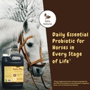 scd-probiotics-equine-plus---liquid-prob-2.jpg