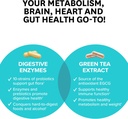 zenwise-health-digestive-enzymes-green-t-3.jpg