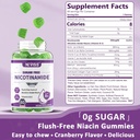 sugar-free-nicotinamide-500mg-gummies-fl-2.jpg