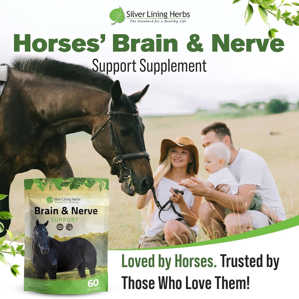 silver-lining-herbs-brain-nerve-support--6.jpg