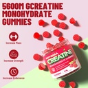 creatine-monohydrate-gummies-for-men-wom-5.jpg