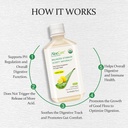 aloecure-organic-aloe-vera-juice---12-bo-4.jpg
