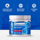 evogen-carnigen---premium-carnitine-powd-3.jpg