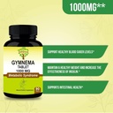 gymnema-tablets-90-tablets-1000-mg-45-da-2.jpg