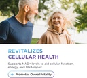 dr-emil-nutrition-nad-boost---nicotinami-4.jpg