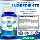 generic-natural-vitamin-nicotinamide-wit-5.jpg