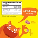 kids-iron-10mg-vitamin-c-chewables-vitam-3.jpg