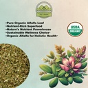 zeeherbs-organic-alfalfa-leaf-4-oz-113g--2.jpg