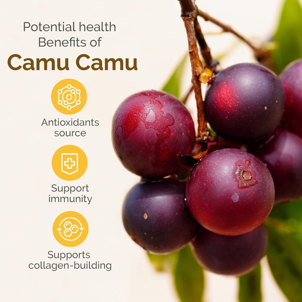 zint-camu-camu-powder-organic-superfood--5.jpg