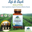 ginkgo-biloba-capsules-kosher-vegan-caps-3.jpg