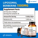 liposomal-berberine-supplement-1500mglip-2.jpg