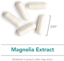 nutricology-magnolia-extract-supplement--5.jpg