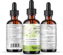 bacopa-drops--improves-memory-concentrat-2.jpg