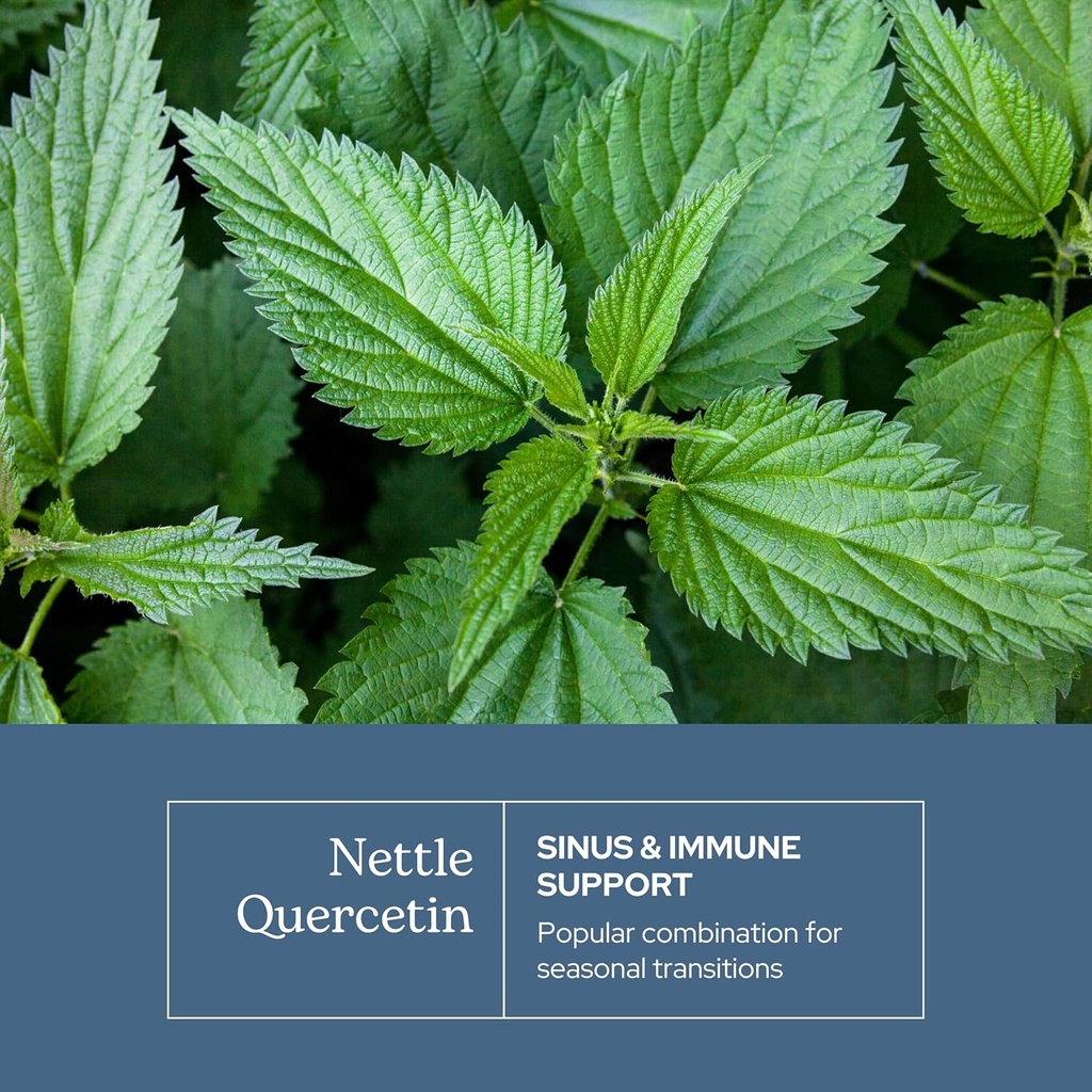 eclectic-herb---nettle-quercetin-capsule-3.jpg