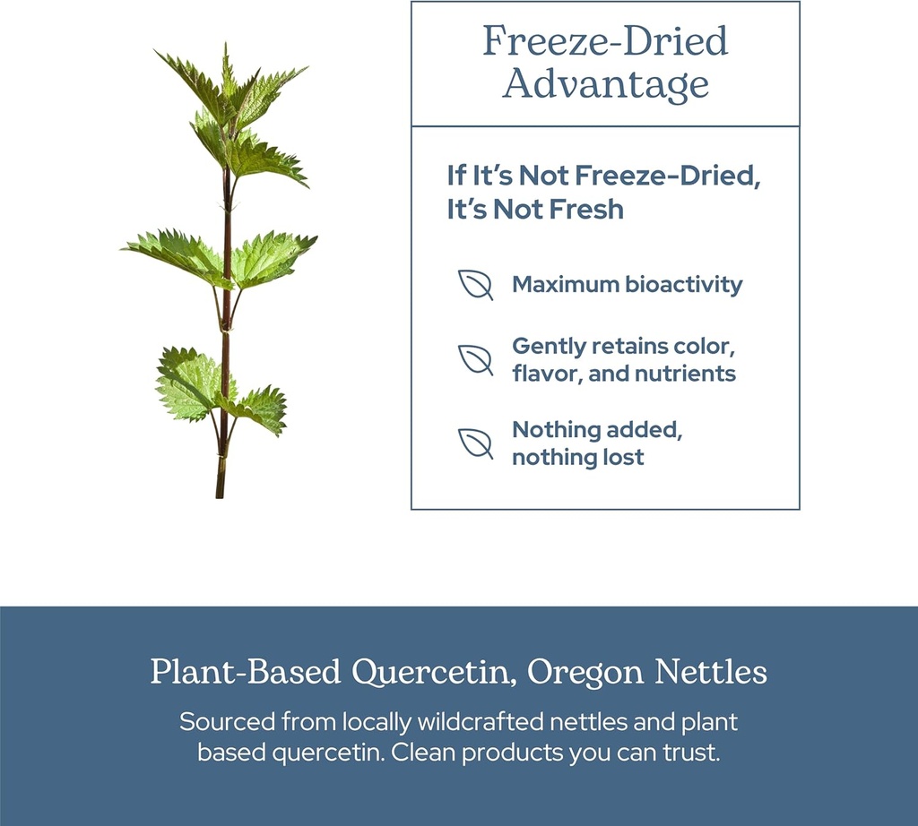 eclectic-herb---nettle-quercetin-capsule-5.jpg