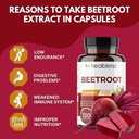 healblend-organic-nitric-oxide-beet-root-5.jpg