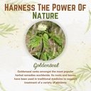 naturefi-organic-goldenseal-root-powder--3.jpg