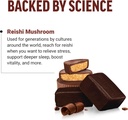 force-factor-modern-mushrooms-soft-chews-3.jpg