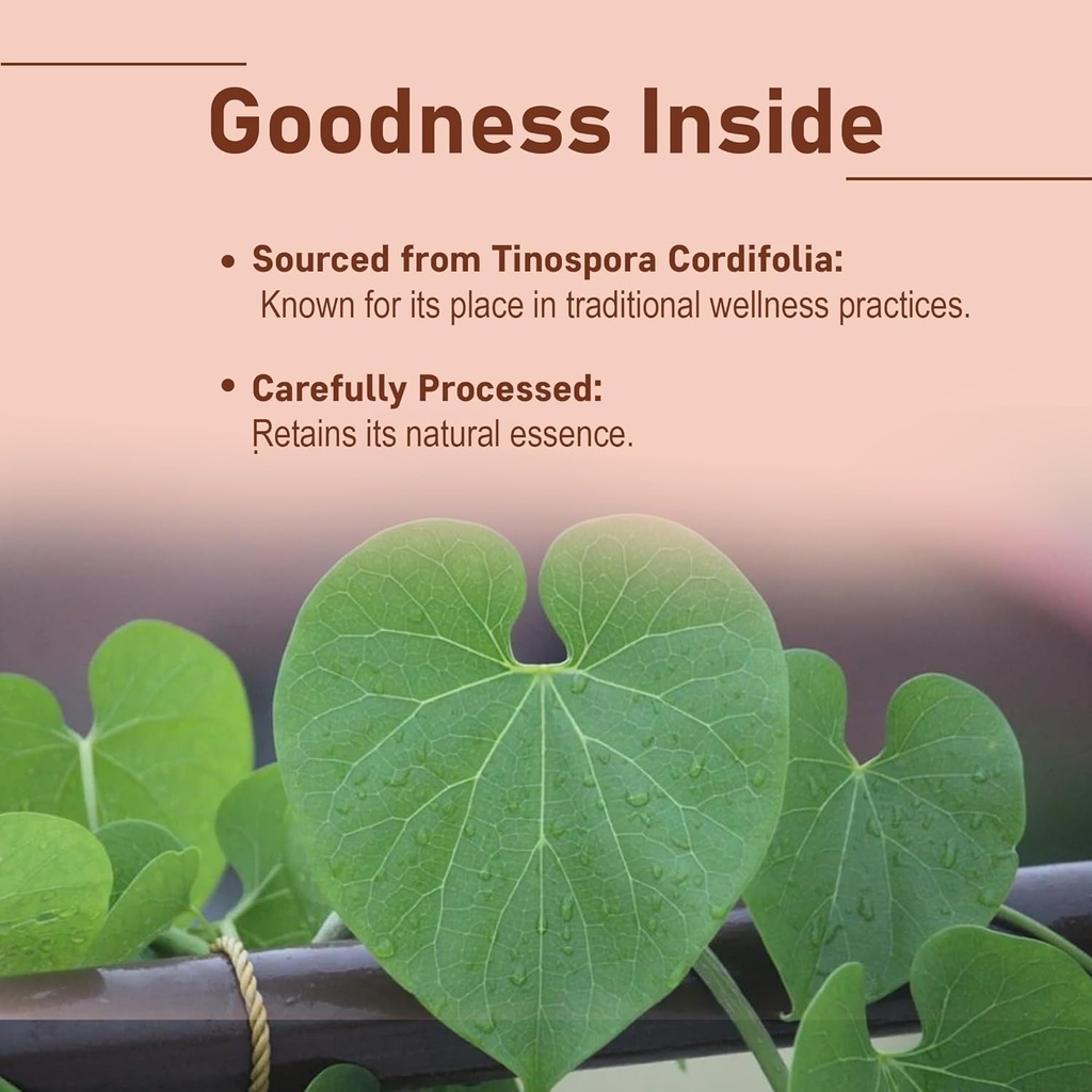 minature-guduchi-giloy-powder-tinospora--2.jpg