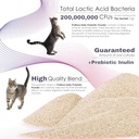 probiotics-for-cats-complete-gut-health--4.jpg