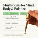 fantastic-fungi-mushroom-extract---8-in--3.jpg