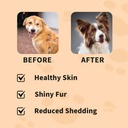 skin-and-coat-chews-for-dogs---itchy-ski-3.jpg