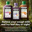 robitussin-naturals-honey-and-ivy-leaf-d-4.jpg