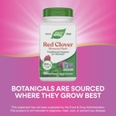 natures-way-red-clover-blossom-herb-trad-4.jpg